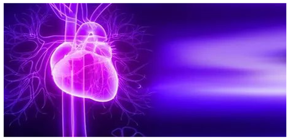 20201229160922016576.png image.png